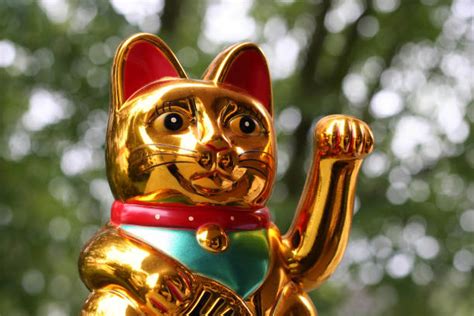 japanese cat god